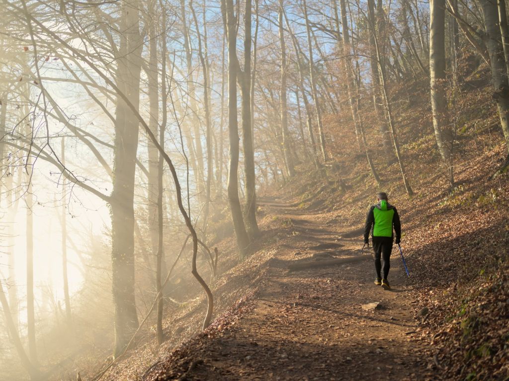 Wald, Weitblick, Wandern - Das ist die Koliskowarte